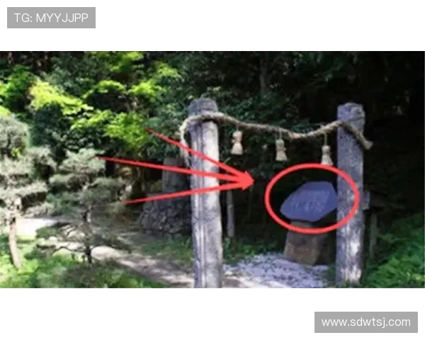 体育解说中的专业知识通俗化路